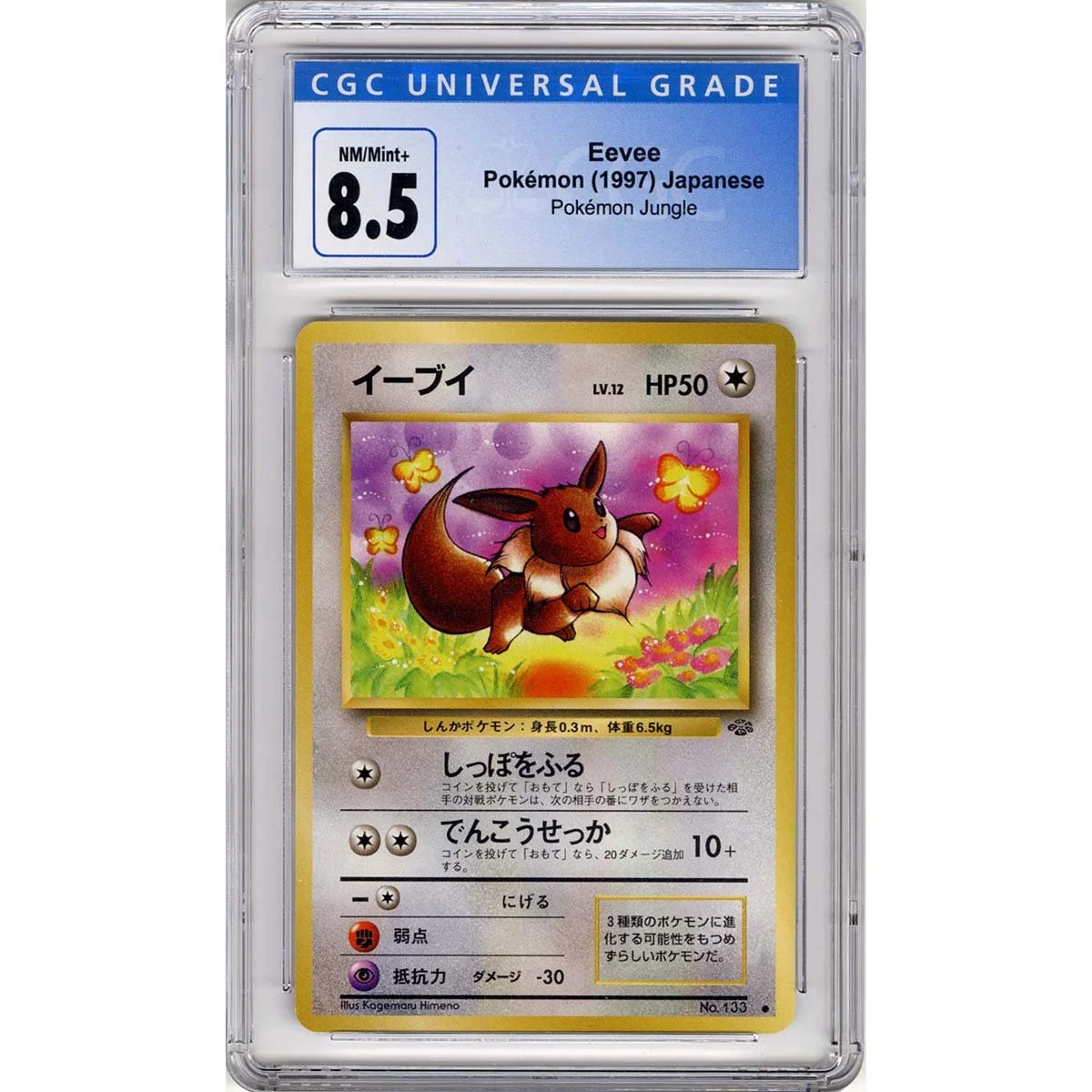 Graded Pokémon Cards — Stone Town Collectibles